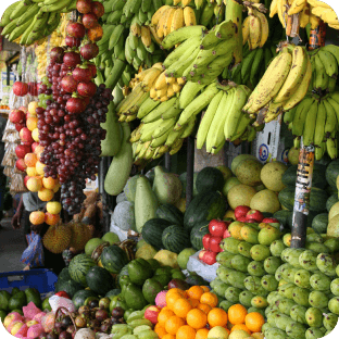 [object Object] image