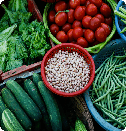 [object Object] image